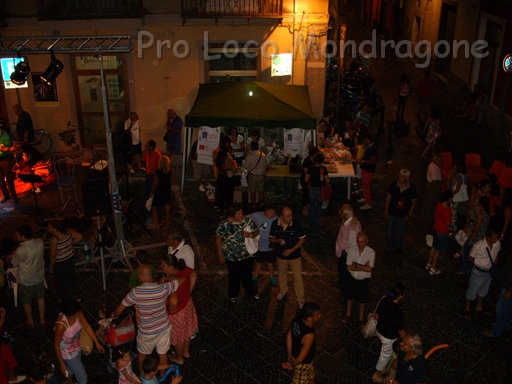 CaliciDiStelle2009 (18).jpg